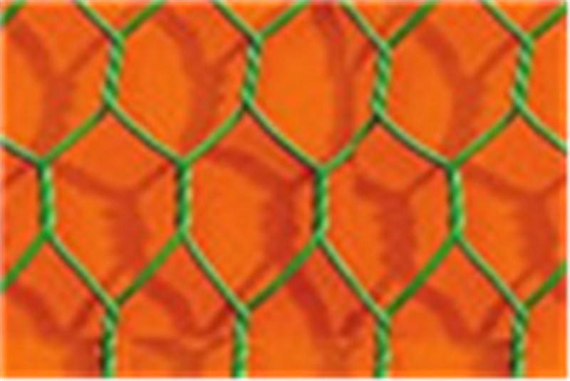 Hexgonal wire mesh