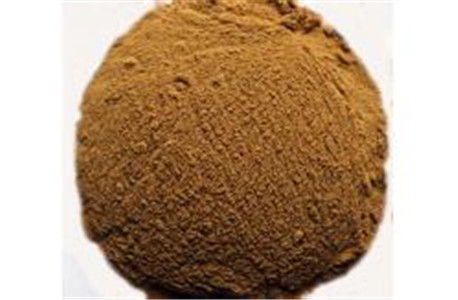 Burdock Root extracts