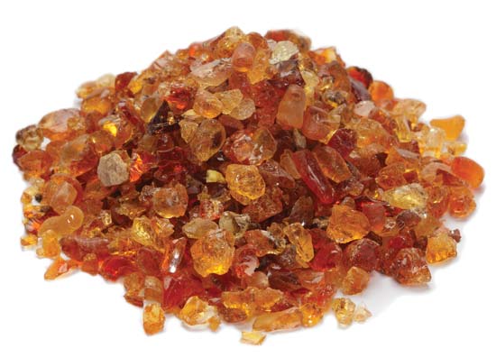 gum arabic accacia