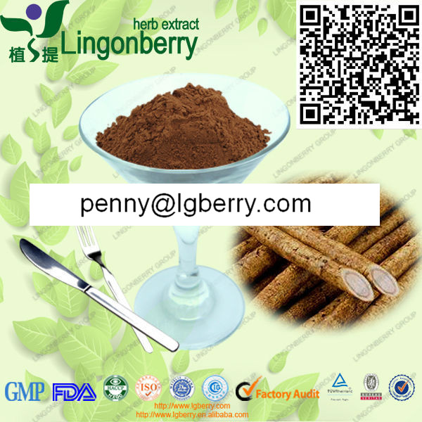 Burdock Root Extract