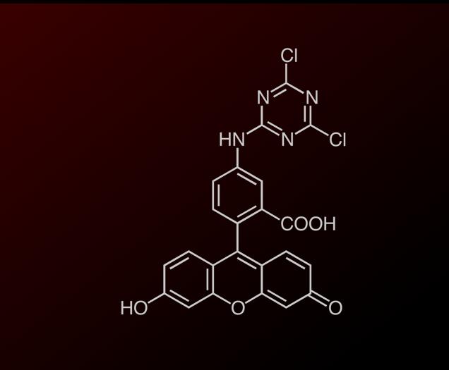 Cyanine3 NHS ester