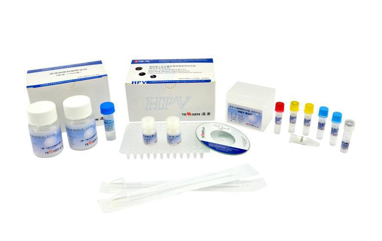 HPV 27 genotyping DNA Detection kit