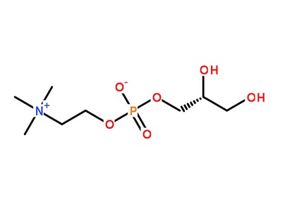 goodAlpha GPC(Choline Alfoscerate)on sale
