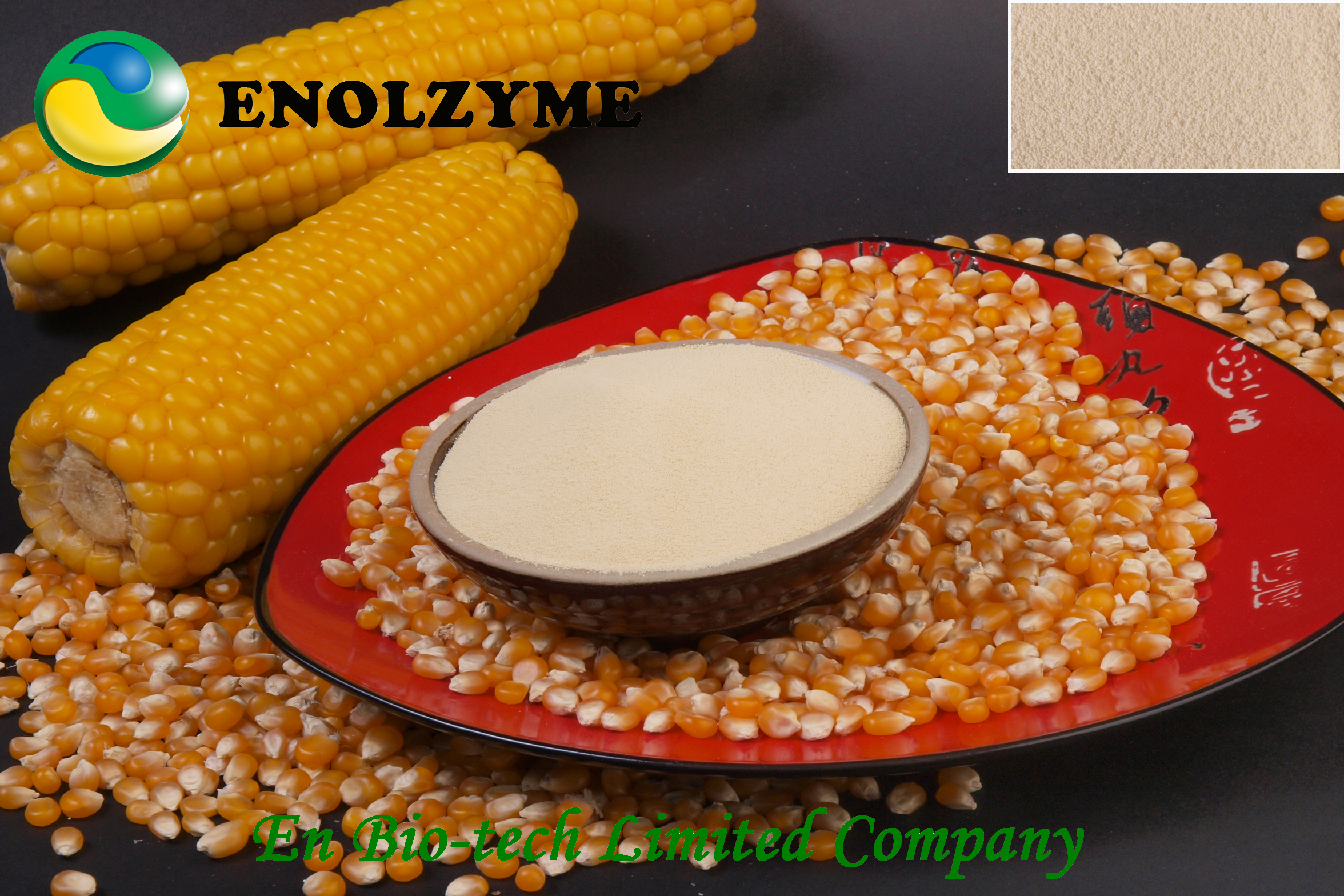 ENOLZYME Xylanase