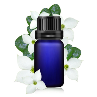 èŒ‰èŽ‰æ²¹ Jasmine essential oil