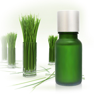 é¦™æŸ æª¬æ²¹ Bergamot oil