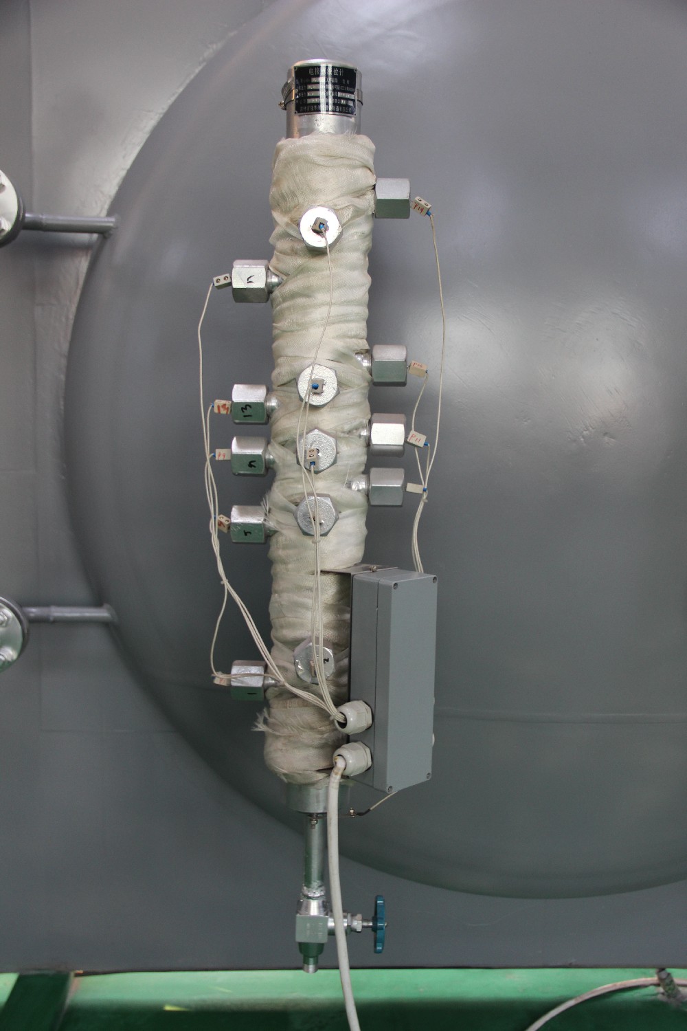 Electrode type level gauge