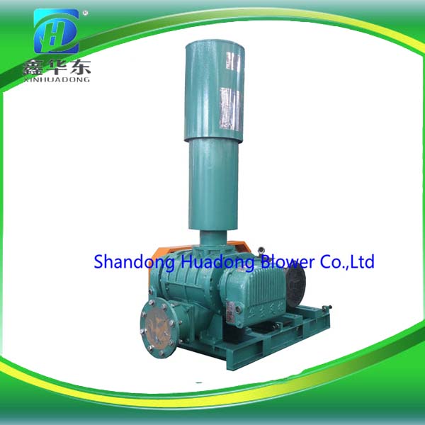 Roots Blower and Vacuum Pump