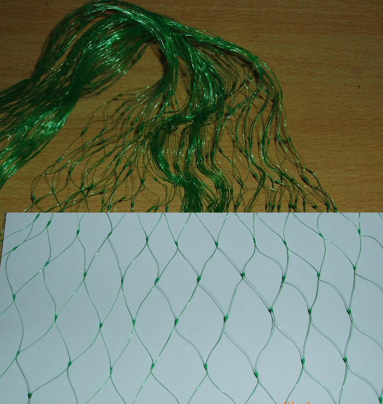 Anti-bird Netting Protection for Grapes