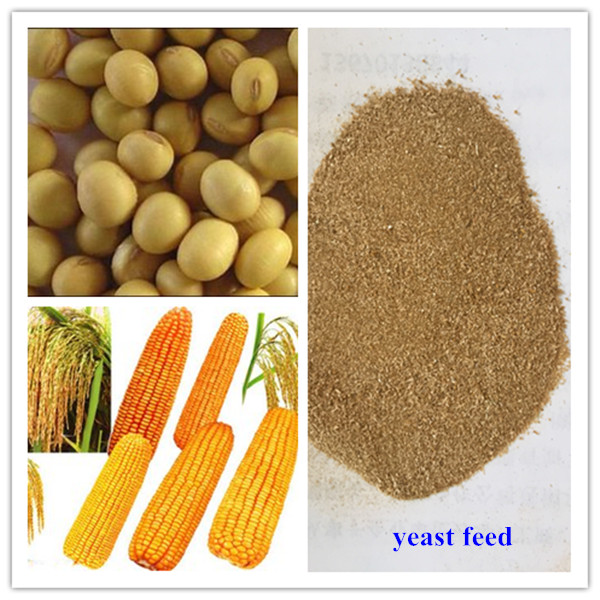 yeast feed