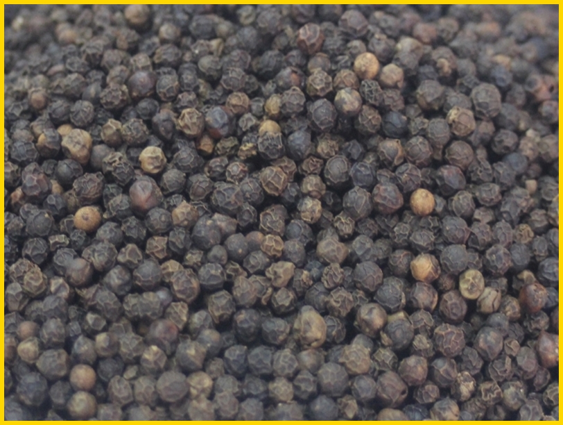 550gl Vietnam Black Pepper