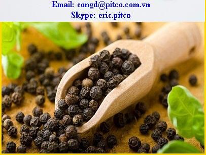 570G/L VIETNAM BLACK PEPPER