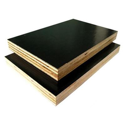 Black Film Faced Plywood
