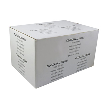 Cloxacillin Capsules