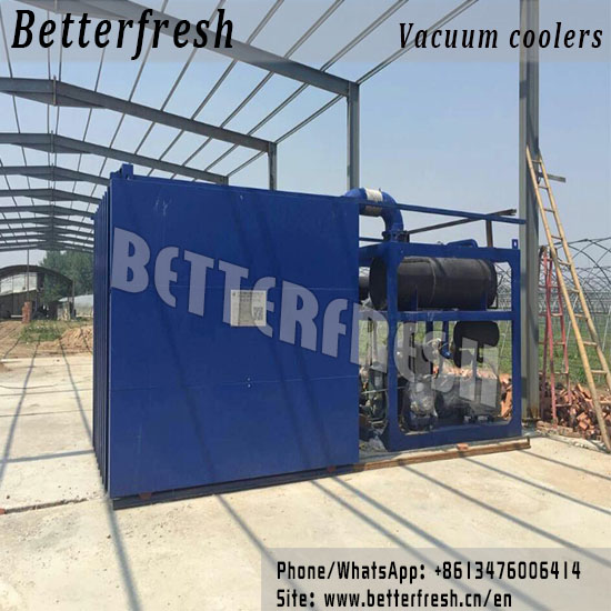 Betterfresh Customized Vacuum Cooling Vegetable Cooling Farm Cooling Folwer Cooling Mushroom Cooling