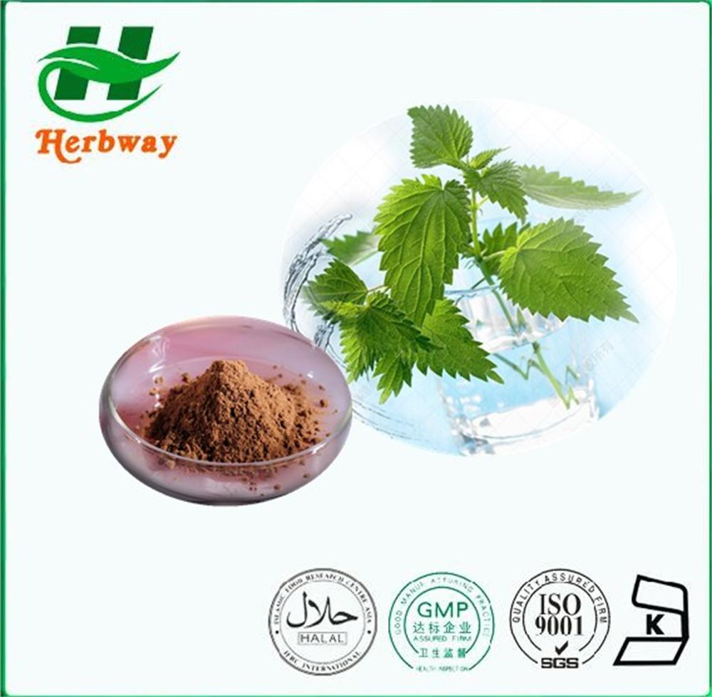 Nettle Extract