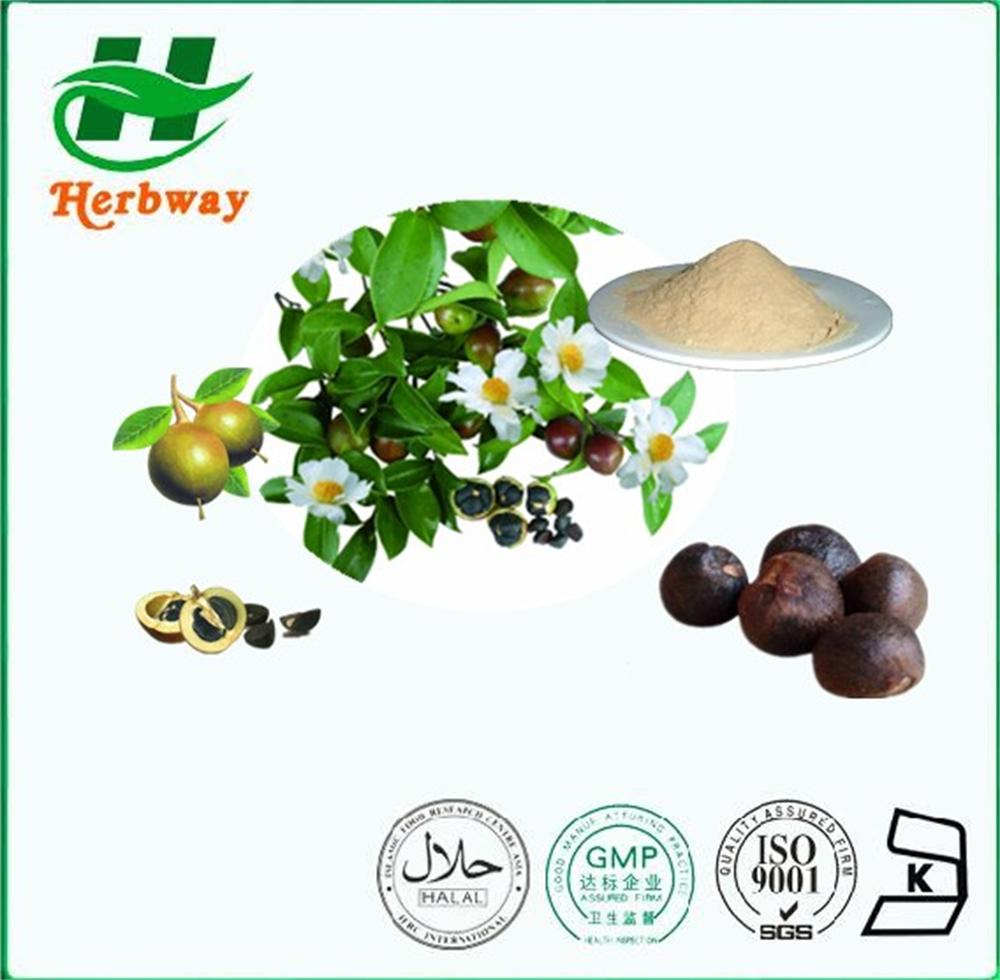 Green Tea Seed Extract