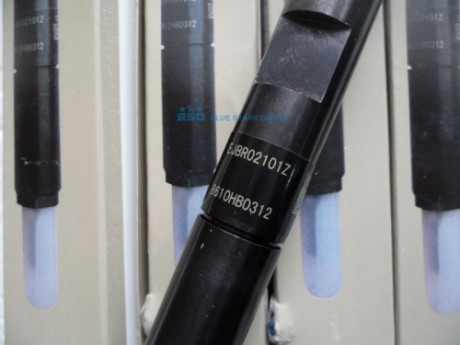 Delphi Common Rail Injector EJBR02101Z / 166003978R