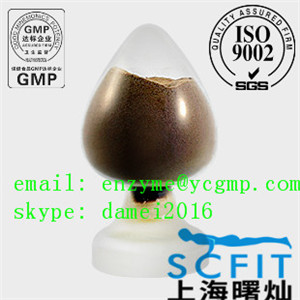 1-(2-Hydroxyphenyl)piperazine 1011-17-2