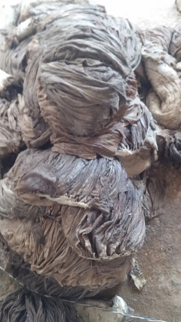 BEEF OMASUM, SALTED OMASUM, COW OMASUM, BUFFALO OMASUM