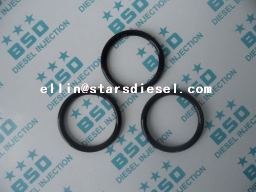 Blue Stars O Ring Inner diameter 19.5*2.5(MM), Fluorine Rubber, Brown