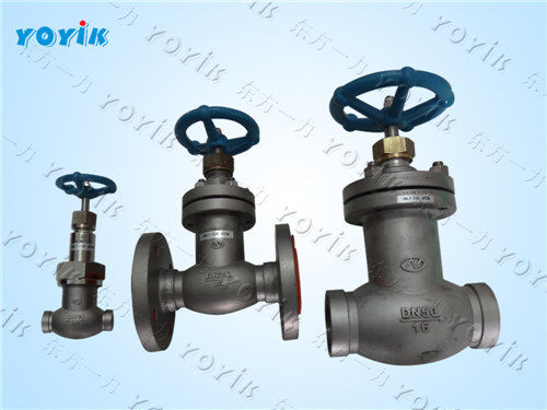 Bellows Globe Valve DN50, PN1.6mpa