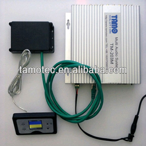 multi channel audio systems for cinema