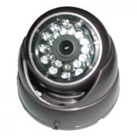 Large picture IR Armored Dome CCD Camera