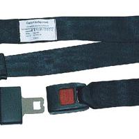 Large picture safety belt