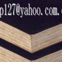 Large picture supply--film faced plywood(drp127@.cn)---