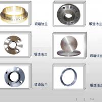 Large picture Froged steel Flanges from various types/standards