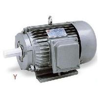 Large picture Y Series Three-Phase motor