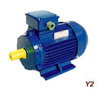 Large picture Y2 Series Three-Phase Asynchronous Induction Motor