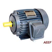 Large picture AEEF IEC Standard Three-Phase Induction Motor