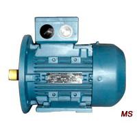 Large picture MS Series Three-Phase ac Motor With Aluminium hous