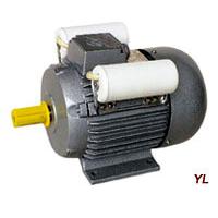 Large picture YL Series Single-Phase Two-Value Capacitor Motor