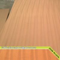 Large picture Sapele plywood