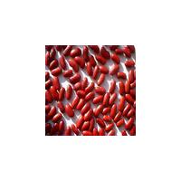 Large picture red kidney beans