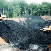 Large picture Steam Coal