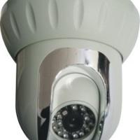 Large picture Color IR Dome Camera w/ Pan/Tilt and 12 IR LEDs