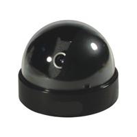 Large picture dome camera