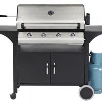 Large picture Outdoor Gas/Carbon Barbecue/BBQ Grill