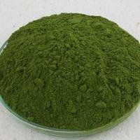 Large picture MORINGA LEAF POWDER