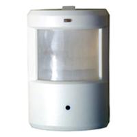 Large picture Hidden CCD Camera