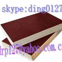 Large picture supply film face plywood(skype:ding0127)