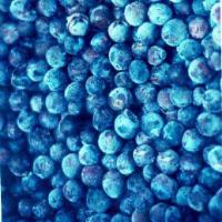 Large picture blueberry powder