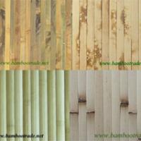 Large picture Bamboo Wallpaper