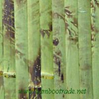 Large picture 2.5cm green tortoise bamboo wallpaper