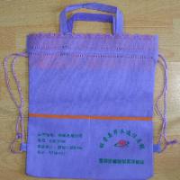 Large picture promotion bag 02