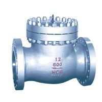 Large picture API Swing Check Valve